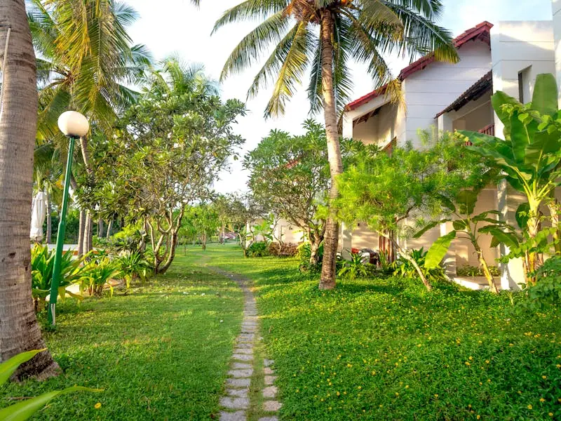 A planted path leading toward the gardens